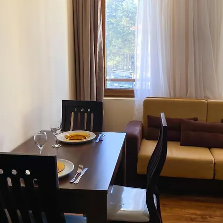 In Mountain Dream Apartment Bansko