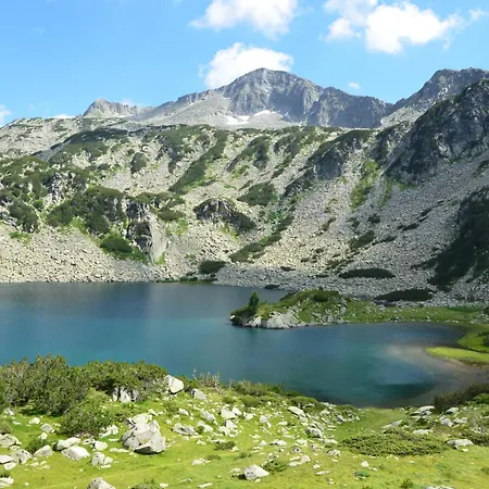 Mountain Dream 200m From Road Банско